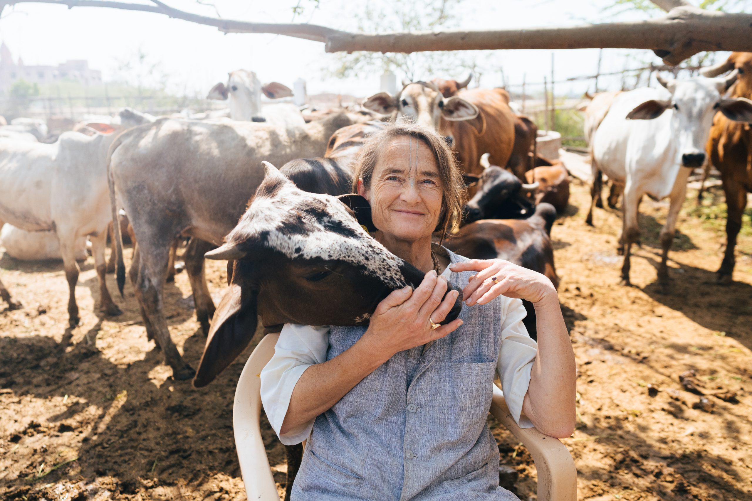 Donatekart Came To The Rescue Of German Lady Struggling To Feed Cows In Her Gaushala