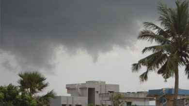 Initiative to test the ocean: World Meteorological Day