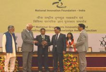 'Evergreen', a special variety of mango that gives fruit throughout the year