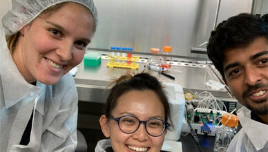 Scientists develop brain tissue with 3D printed bioreactors