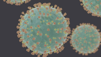 group of four cities will do corona virus genome surveillance