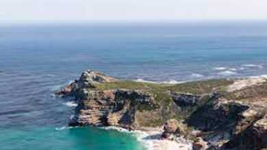 Researchers develop organic alternative to synthetic cosmetics