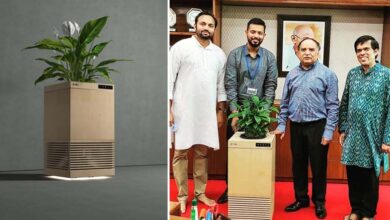 Researchers develop 'air-purifier' made from plants